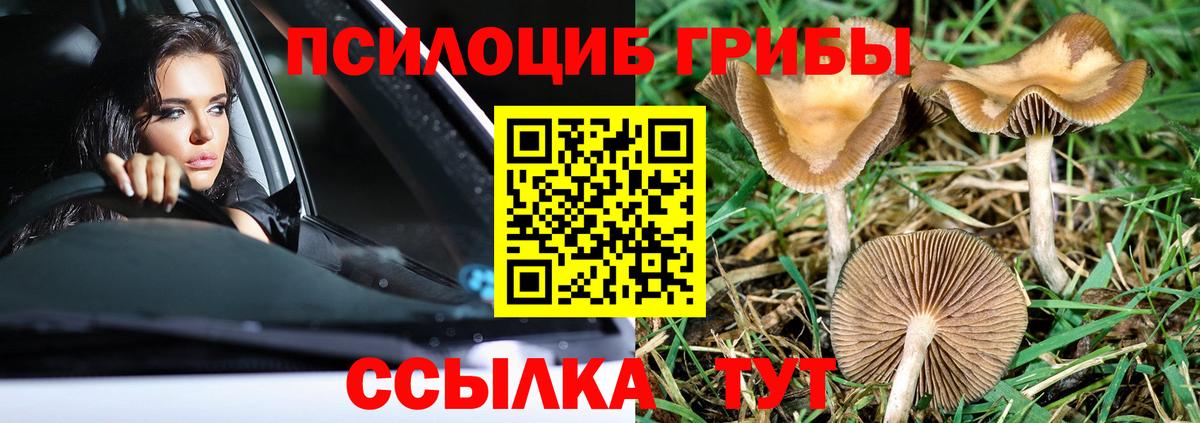 Воркута  APVP СК   Каннабис  Меф МЯУ МЯУ   Вход с VPN  ГАШИШ 
