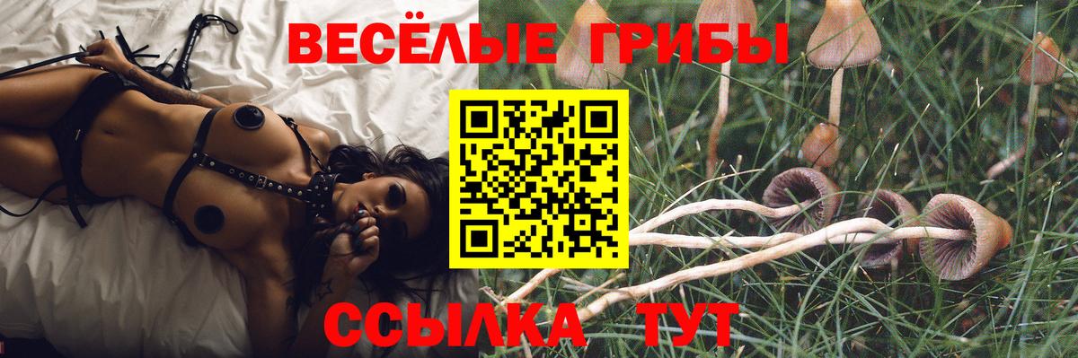 Псилоцибиновые грибы ЛСД Воркута