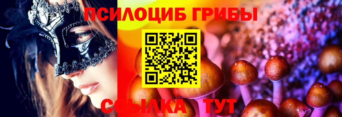 где купить наркоту  Вход с VPN  Псилоцибиновые грибы Psilocybine cubensis  Воркута  Псилоцибиновые грибы ЛСД 